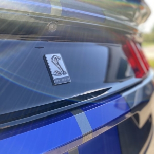 Troy Slick Finish Detailing