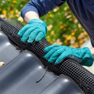 Photo of Russell's Gutter