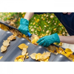 Photo of Russell's Gutter