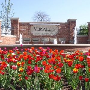 Photo of Versailles on the Lakes Oakbrook