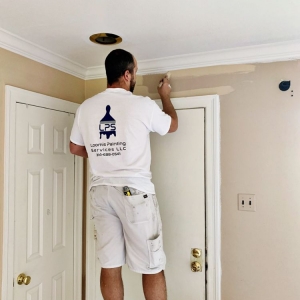 St. Louis Loomis Painting Services