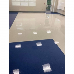 Photo of Graceful Janitorial