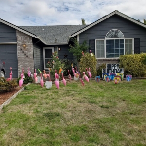 Photo of Think Pink Flamingo Flocking