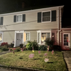Photo of Think Pink Flamingo Flocking