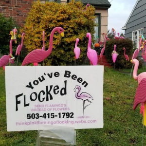 Photo of Think Pink Flamingo Flocking