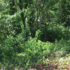 Photo of Landscape Construction Services