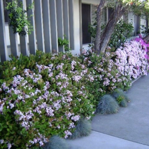 Photo of Edwords Horticulture