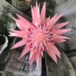 Photo of Edwords Horticulture