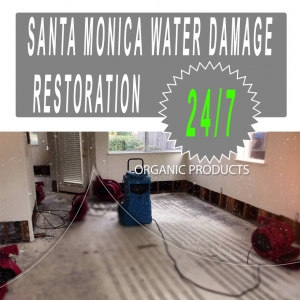 Photo of Santa Monica Water Damage Restoration