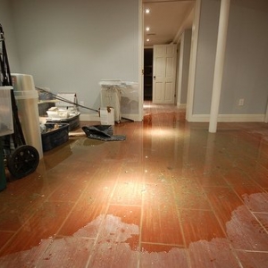 Photo of Santa Monica Water Damage Restoration