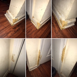Atlanta Mr Rogers Renovations