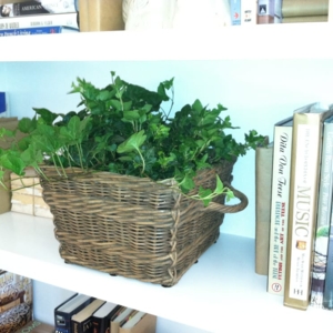 Photo of Growing Roots La Jolla