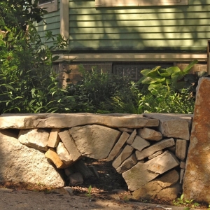 Photo of Greener Roofs & Gardens