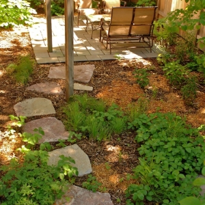 Photo of Greener Roofs & Gardens