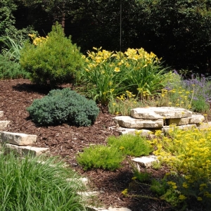 Photo of Greener Roofs & Gardens