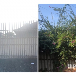 Photo of John's Yard Clean-Up Service