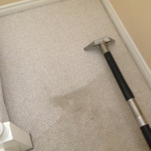 Photo of Silver Olas Carpet Tile Flood Cleaning