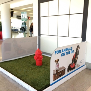 Photo of Artificial Grass Pros