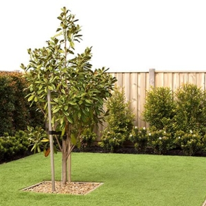 Photo of Artificial Grass Pros