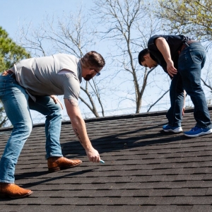 Photo of Alpha Elite Roofing