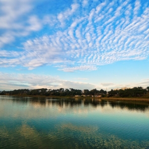 Photo of Lakewood Apartments At Lake Merced