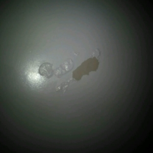 Photo of One Day Bathtub Refinishing