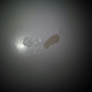 Photo of One Day Bathtub Refinishing