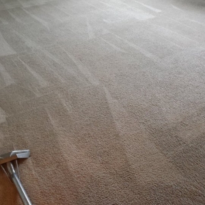 Photo of Great Carpet Cleaning