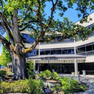 Portland Mosaic Consulting & Tax