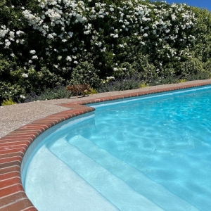 Photo of Padilla Pools