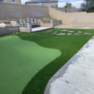 Photo of Zapgrass