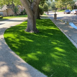 Photo of Zapgrass