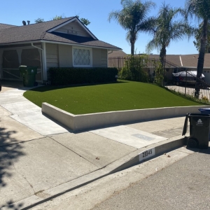 Photo of Zapgrass