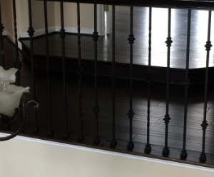 Photo of Larry Morris Floor Service