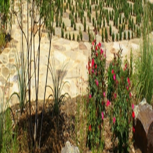 Photo of Southern Services Landscape & Irrigation