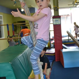Photo of The Jungle Gym