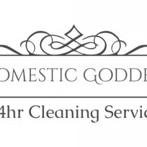 Photo of Domestic Goddess Cleaning Service