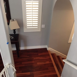 Photo of Celebrity Shutters and Blinds