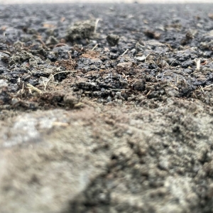 Photo of United Paving & Masonry