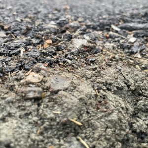 Photo of United Paving & Masonry