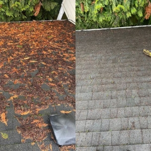 Photo of Xzavier's Gutter & Window Cleaning