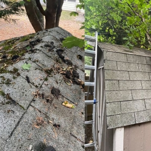 Photo of Xzavier's Gutter & Window Cleaning