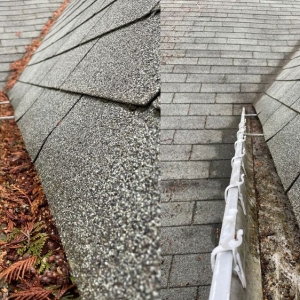 Photo of Xzavier's Gutter & Window Cleaning