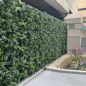 Photo of SYNLawn Kentucky