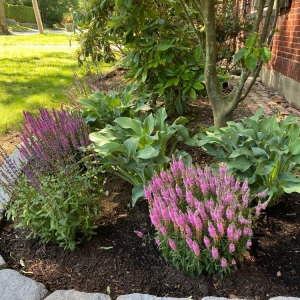 Photo of Joshua Landscaping