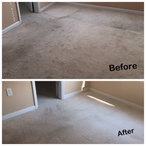 Photo of KLB Professional Cleaning Service