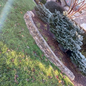 Photo of Salmeron Lawn Service