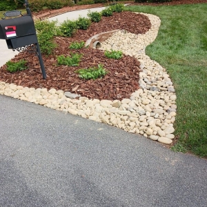 Photo of Salmeron Lawn Service