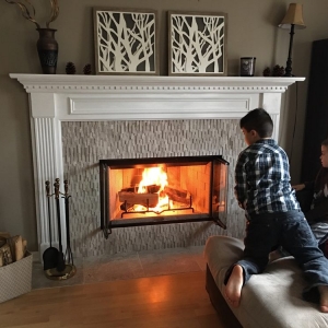 Photo of Pratt's Professional Chimney Service