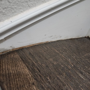 Photo of Floor N More Southlake